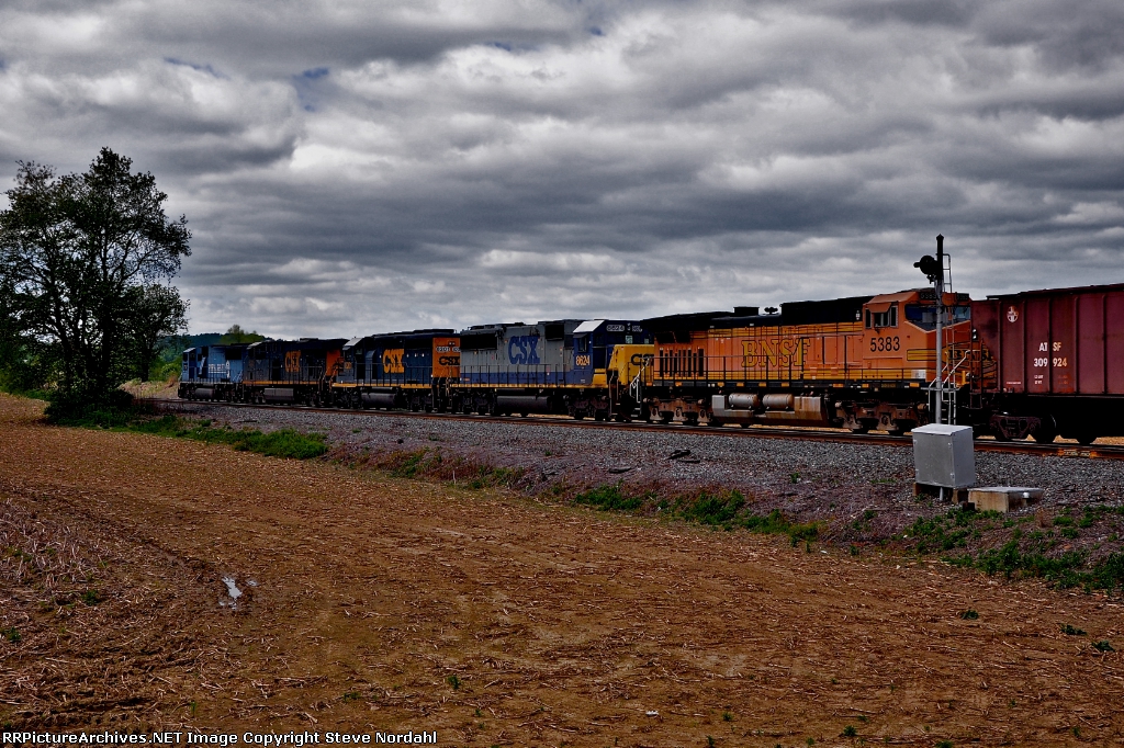 Multi-Color in Longswamp, Twsp...